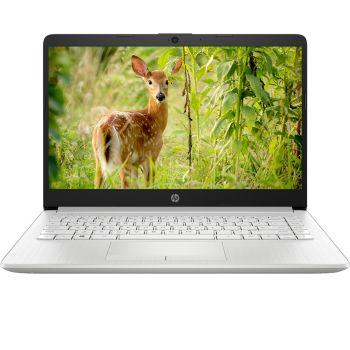 Laptop HP 14s cf2527TU i3 10110U/4GB/256GB/Win11 (4K4A1PA) 